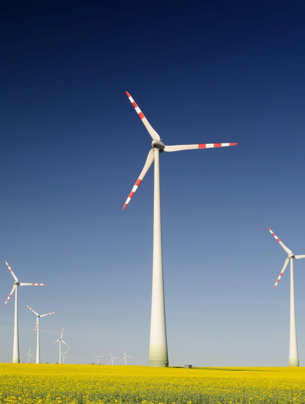 Sustainable Technology for Carbon Capture