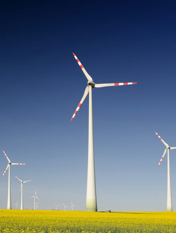 Sustainable Technology for Carbon Capture