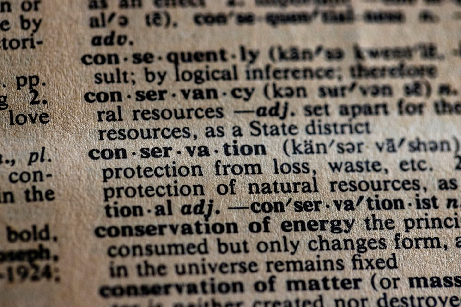 How Natural Language Processing Transforms Customer Service Automation